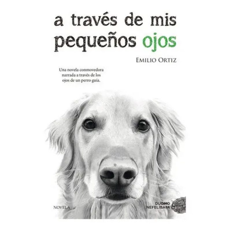 A TRAVES DE MIS PEQUEÑOS OJOS