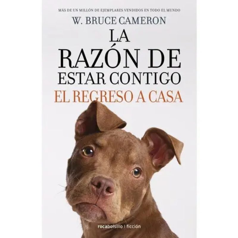 LA RAZON DE ESTAR CONTIGO EL REGRESO A CASA