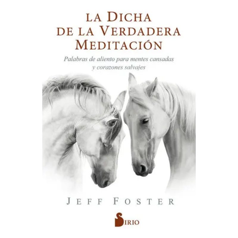 DICHA DE LA VERDADERA MEDITACION LA