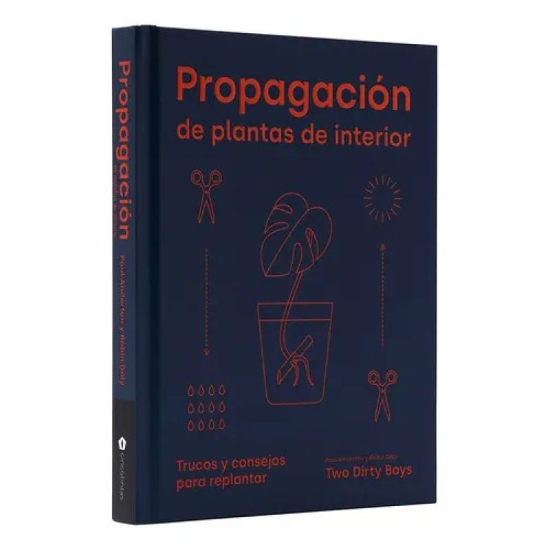 PROPAGACION DE PLANTAS DE INTERIOR TRUCOS Y CONSEJOS