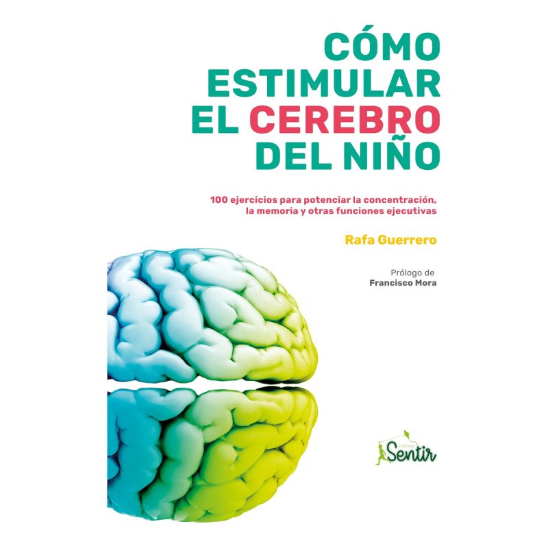COMO ESTIMULAR EL CEREBRO DEL NIÑO