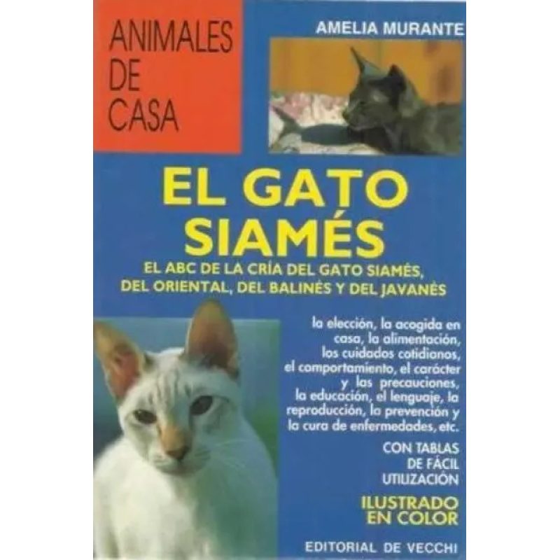 GATO SIAMES - ANIMALES DE CASA EL