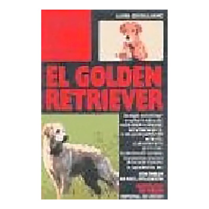 GOLDEN RETRIVER - PERROS DE RAZA EL