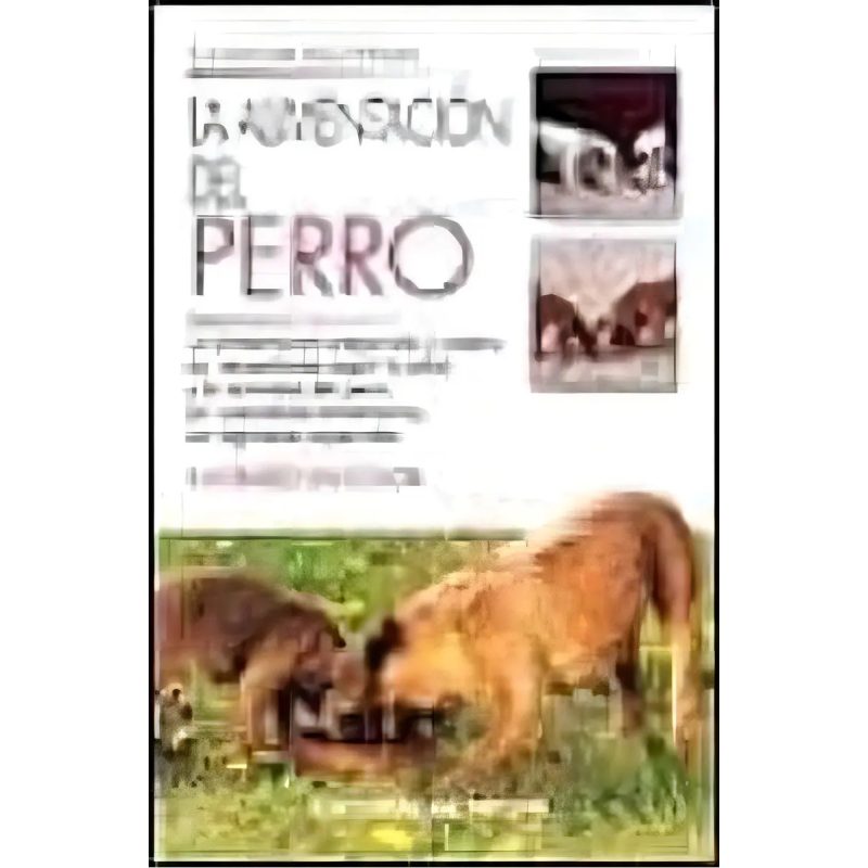 ALIMENTACION DEL PERRO LA ALIMENTACI