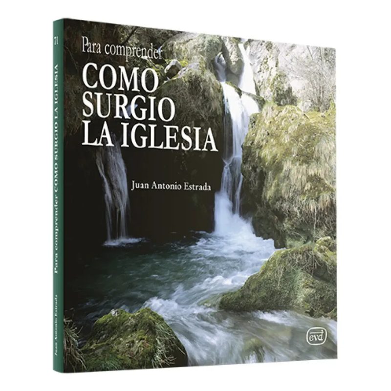 PARA COMPRENDER COMO SURGIO LA IGL