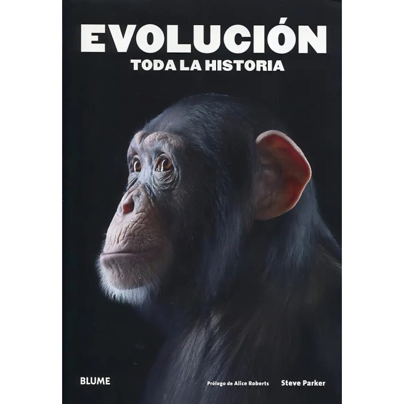 EVOLUCION