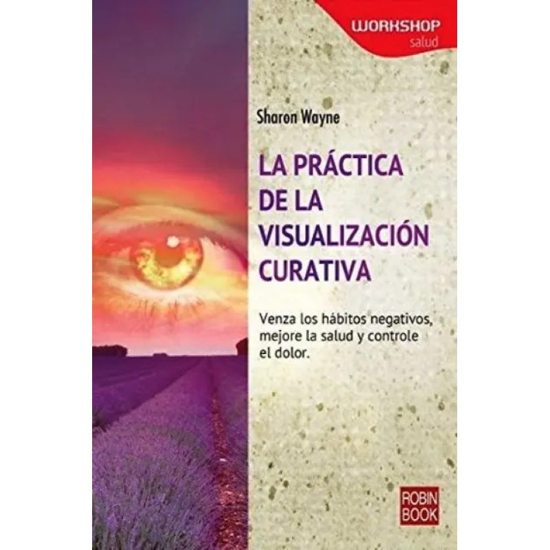 PRACTICA DE LA VISUALIZACION CURATIVA  WORKSHOP  LA