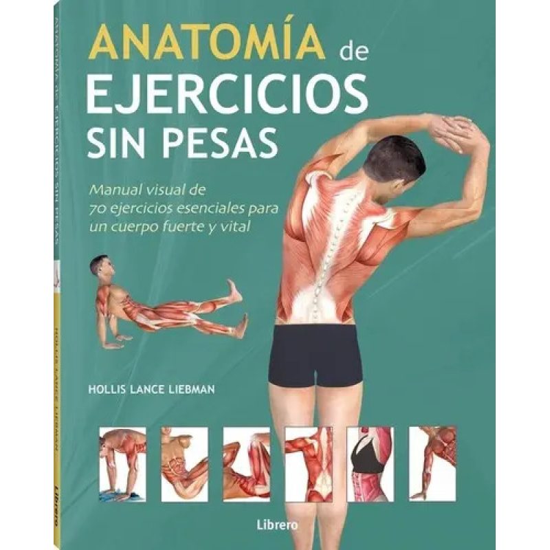 ANATOMIA DE EJERCICIOS SIN PESAS