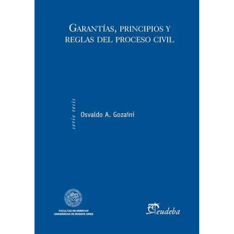 GARANTIAS PRINCIPIOS Y REGLAS DEL PR