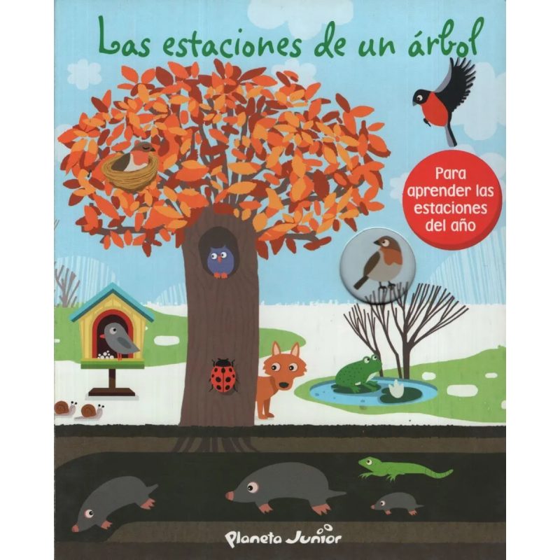 LAS ESTACIONES DE UN ARBOL
