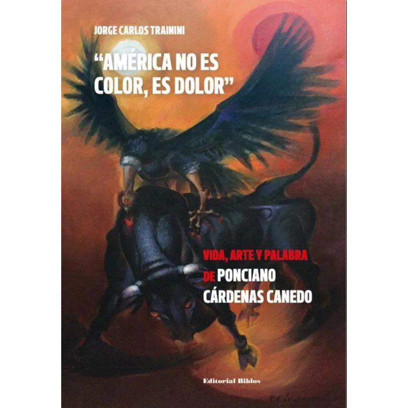 AMERICA NO ES COLOR ES DOLOR