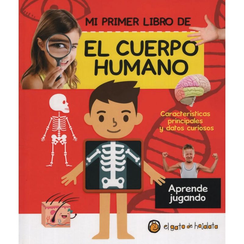 EL CUERPO HUMANO