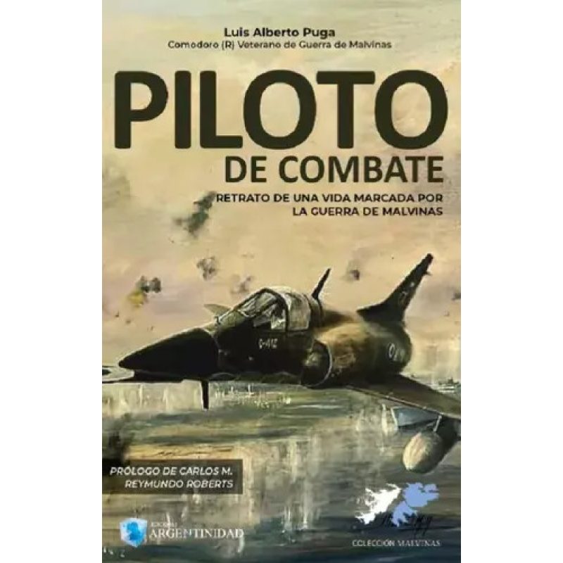 PILOTO DE COMBATE